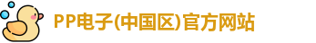 pp电子